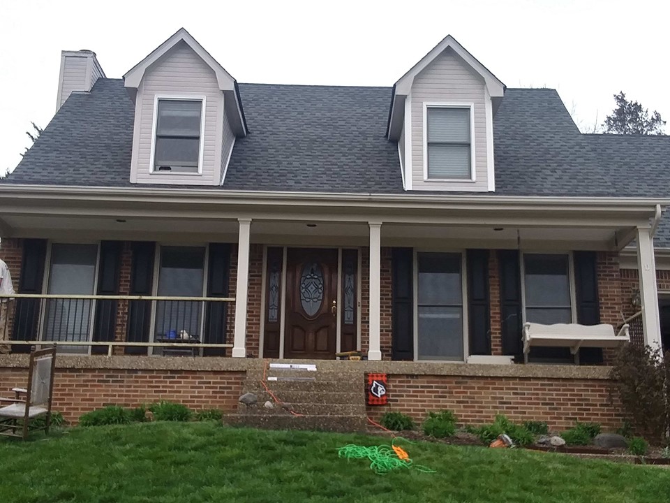 Mold Removal