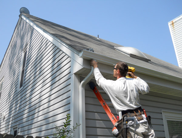 Mold Removal