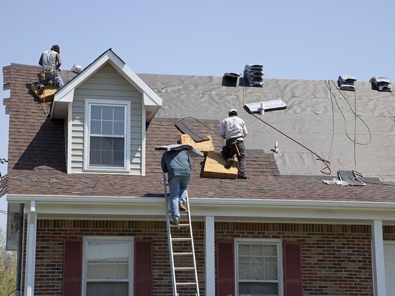 mold removal service 1